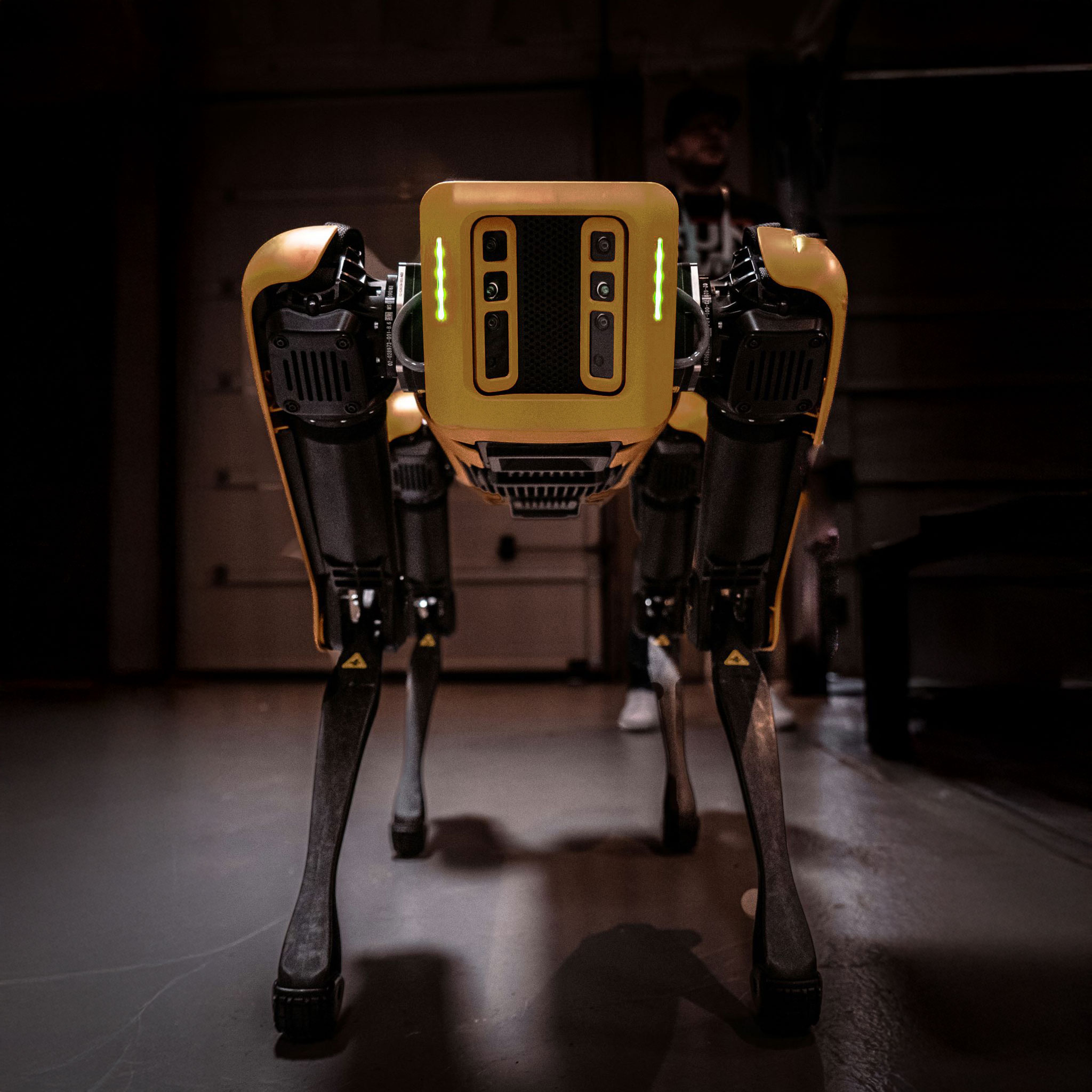 Using AI technology in email marketing for Welsh businesses